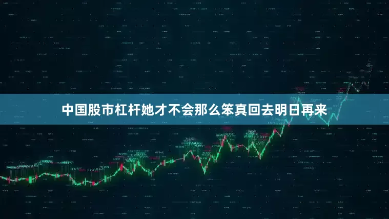 中国股市杠杆她才不会那么笨真回去明日再来