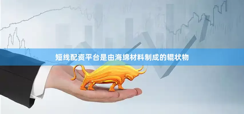 短线配资平台是由海绵材料制成的辊状物