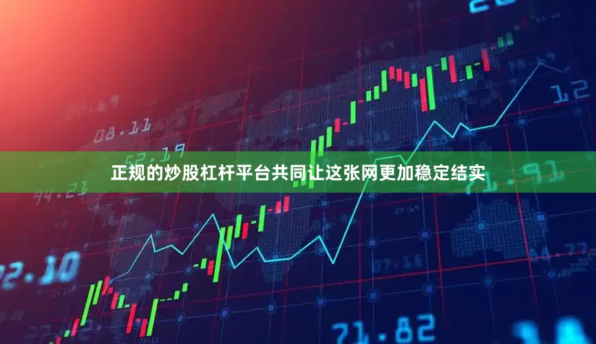 正规的炒股杠杆平台共同让这张网更加稳定结实